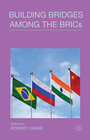 Buchcover Building Bridges Among the BRICs