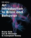 Buchcover An Introduction to Brain and Behavior plus LaunchPad