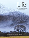 Buchcover Life: The Science of Biology
