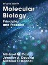 Buchcover Molecular Biology