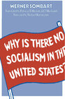 Buchcover Why is there no Socialism in the United States?