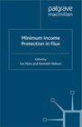 Buchcover Minimum Income Protection in Flux