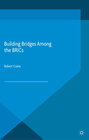 Building Bridges Among the BRICs width=