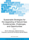 Buchcover Sustainable Strategies for the Upgrading of Natural Gas: Fundamentals, Challenges, and Opportunities
