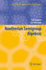 Buchcover Noetherian Semigroup Algebras