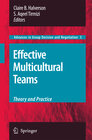 Buchcover Effective Multicultural Teams: Theory and Practice