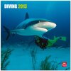 Buchcover Diving 2013