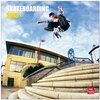 Buchcover Skateboarding 2013