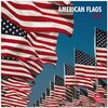 Buchcover American Flags 2013