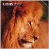 Buchcover Lions 2013