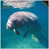 Buchcover Manatees 2013