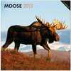 Buchcover Moose 2013