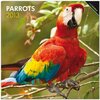 Buchcover Parrots 2013