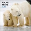Buchcover Polar Bears 2013