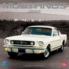 Buchcover Mustangs 2012