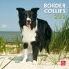 Buchcover Border Collies 2012