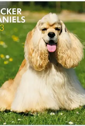 Buchcover ISBN 9781421697918