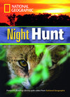 Buchcover Night Hunt