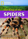 Buchcover The King of the Spiders