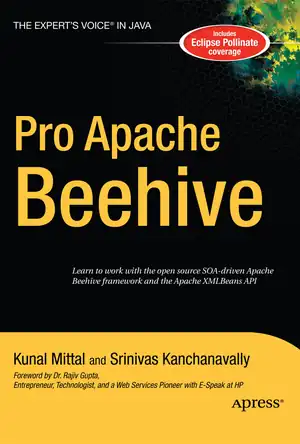 Buchcover ISBN 9781430211891