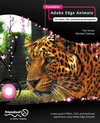 Buchcover Foundation Adobe Edge Animate