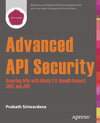 Buchcover Advanced API Security
