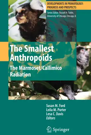 Buchcover ISBN 9781441902924