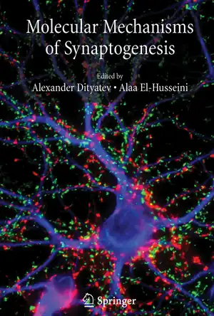 Buchcover ISBN 9781441940902