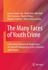 Buchcover The Many Faces of Youth Crime