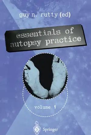 Buchcover ISBN 9781447106999