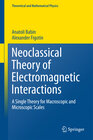 Buchcover Neoclassical Theory of Electromagnetic Interactions