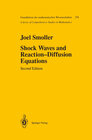 Buchcover Shock Waves and Reaction—Diffusion Equations