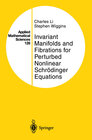 Buchcover Invariant Manifolds and Fibrations for Perturbed Nonlinear Schrödinger Equations