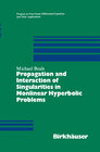 Buchcover Propagation and Interaction of Singularities in Nonlinear Hyperbolic Problems