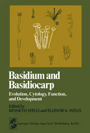 Buchcover ISBN 9781461256779