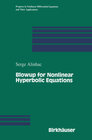 Buchcover Blowup for Nonlinear Hyperbolic Equations