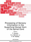 Buchcover Processing of Sensory Information in the Superficial Dorsal Horn of the Spinal Cord