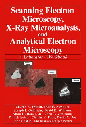 Buchcover ISBN 9781461306351