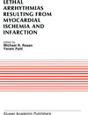 Buchcover Lethal Arrhythmias Resulting from Myocardial Ischemia and Infarction