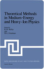 Buchcover Theoretical Methods in Medium-Energy and Heavy-Ion Physics