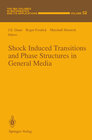 Buchcover Shock Induced Transitions and Phase Structures in General Media