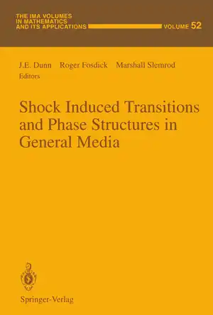 Buchcover ISBN 9781461383505