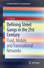 Buchcover Defining Street Gangs in the 21st Century