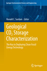 Buchcover Geological CO2 Storage Characterization