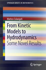 Buchcover From Kinetic Models to Hydrodynamics