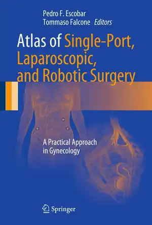 Buchcover ISBN 9781461468394