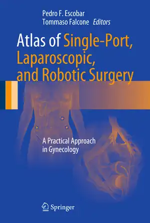 Buchcover ISBN 9781461468400