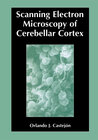 Buchcover Scanning Electron Microscopy of Cerebellar Cortex
