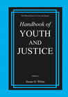 Buchcover Handbook of Youth and Justice
