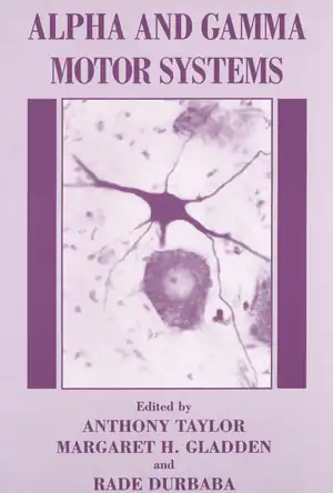 Buchcover ISBN 9781461519355